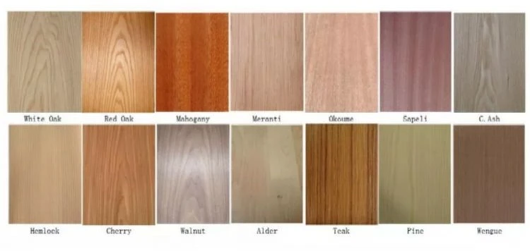 product-750-356 double swing wardrobe material