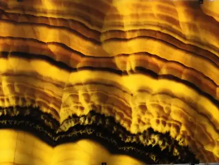 honey onyx slab price