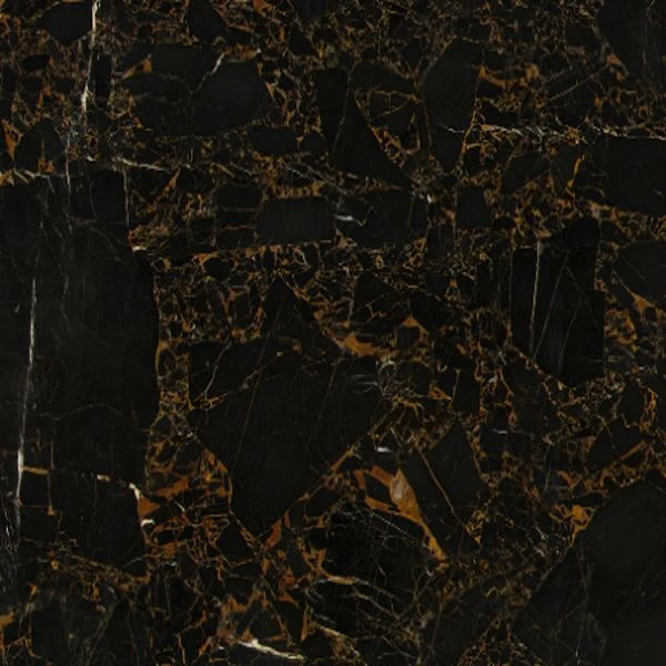 Black & Gold