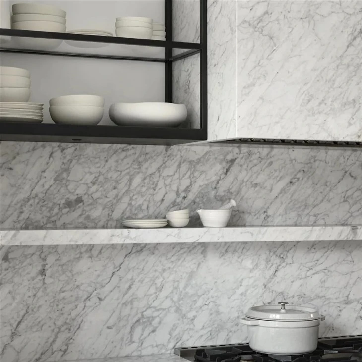 Carrara White Sintered