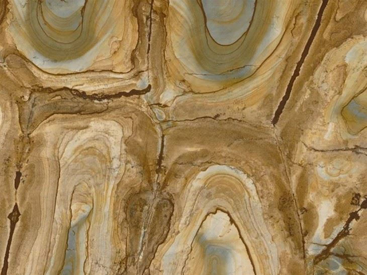 Palomino Marble