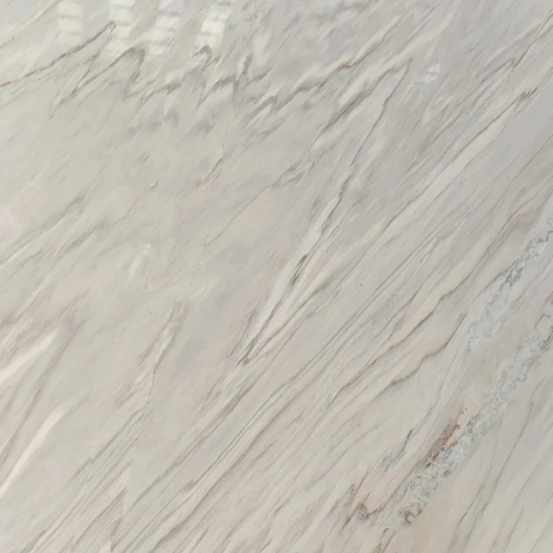 800x800 800x800