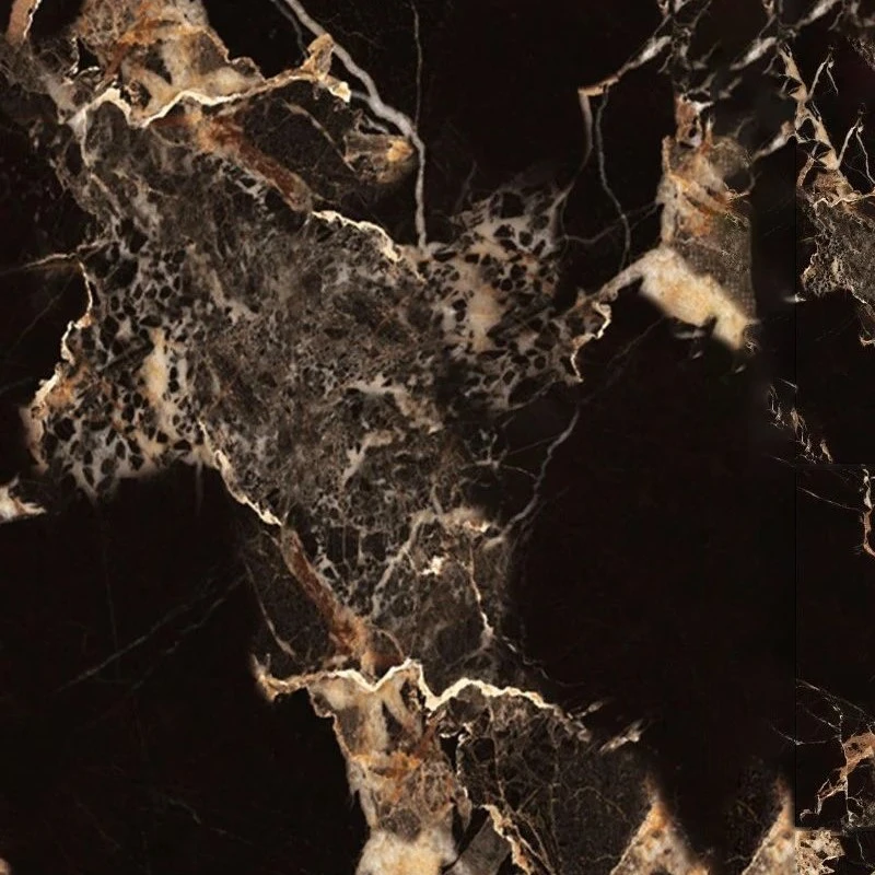 800x800