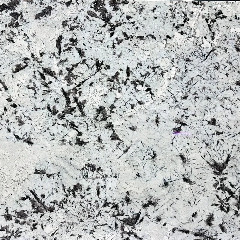 800x800 800x800
