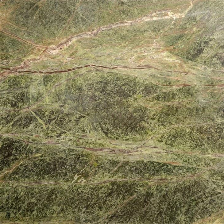 Rain Forest Green