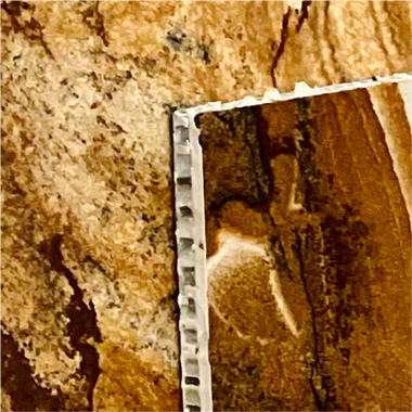 Palomino Aluminum Honeycomb Composite Panel