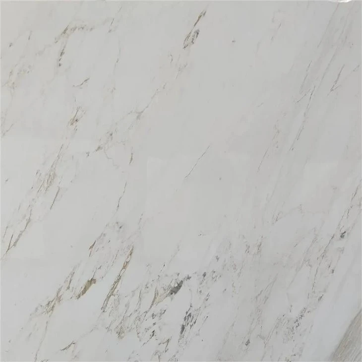 Vinas White Marble Stone