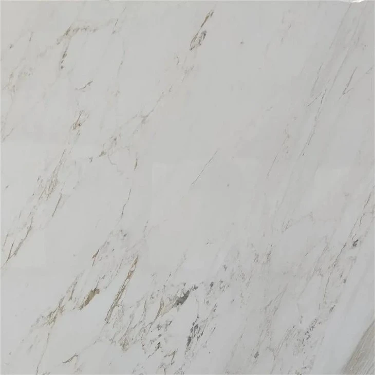 Vinas White Marble Stone
